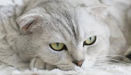 AYX官网-揭秘电竞选手职业周期与转型路径，电竞职业选手有前途吗