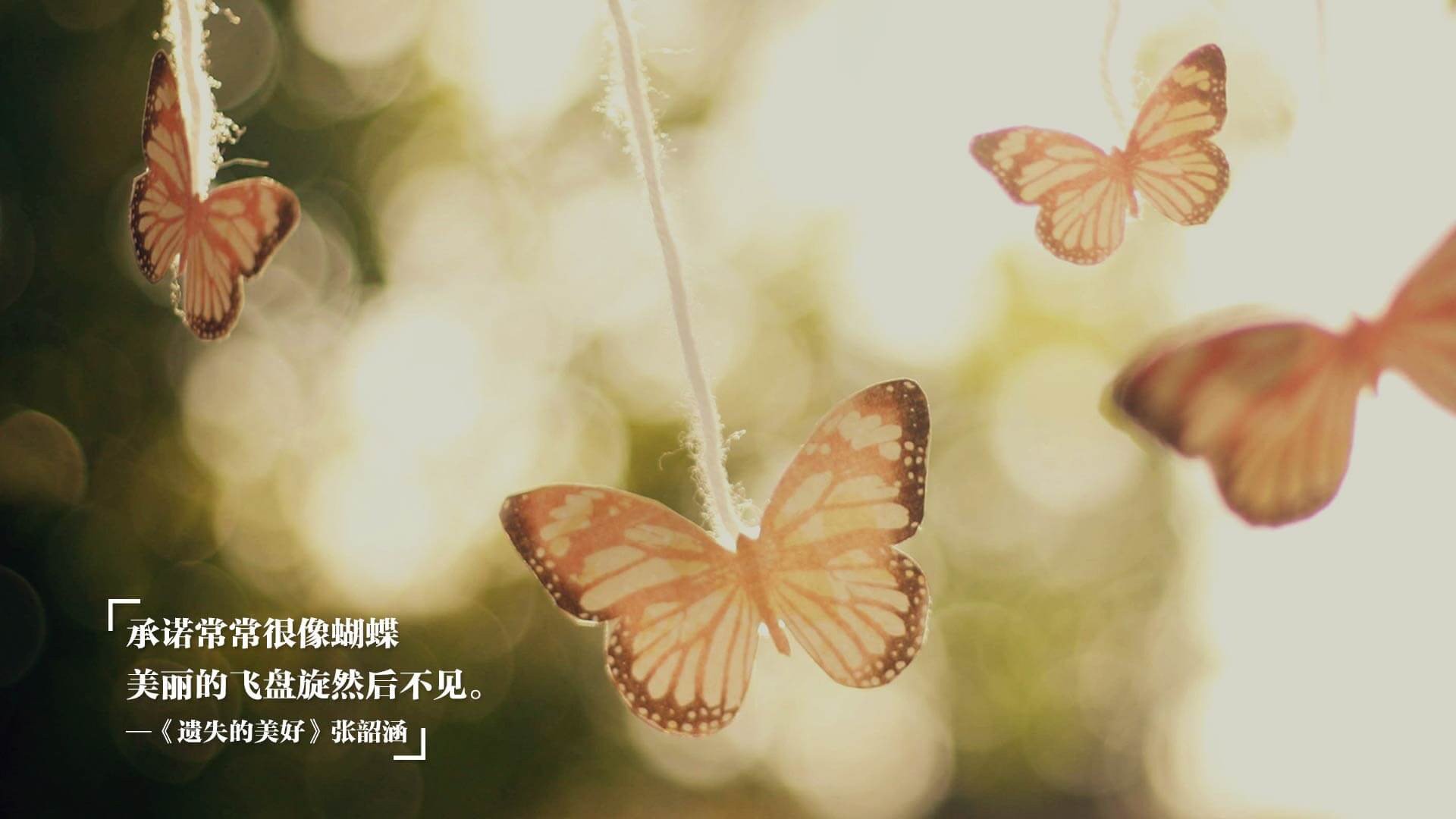 WRC安全措施:保障车手安全的幕后故事,wtcr安全车