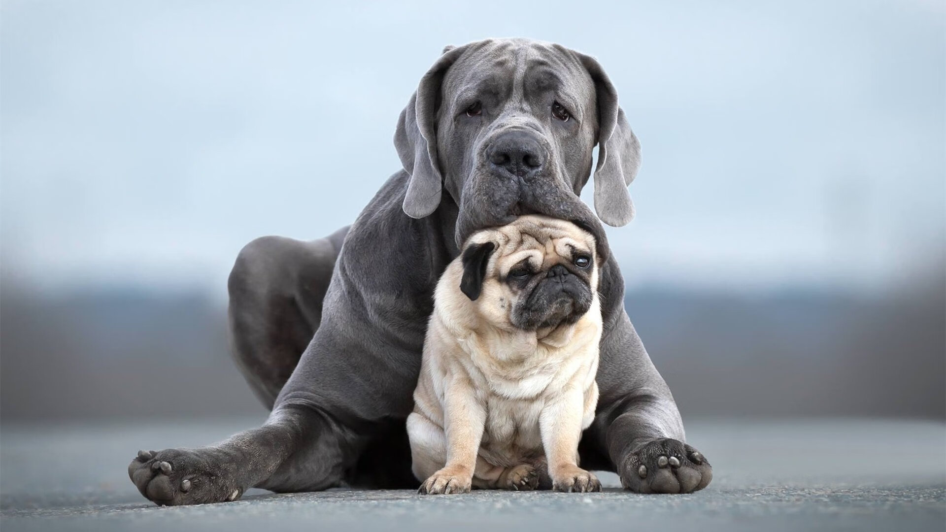 爱游戏体育平台-_奇才队攻守平衡，表现令人期待_，奇才队最强阵容