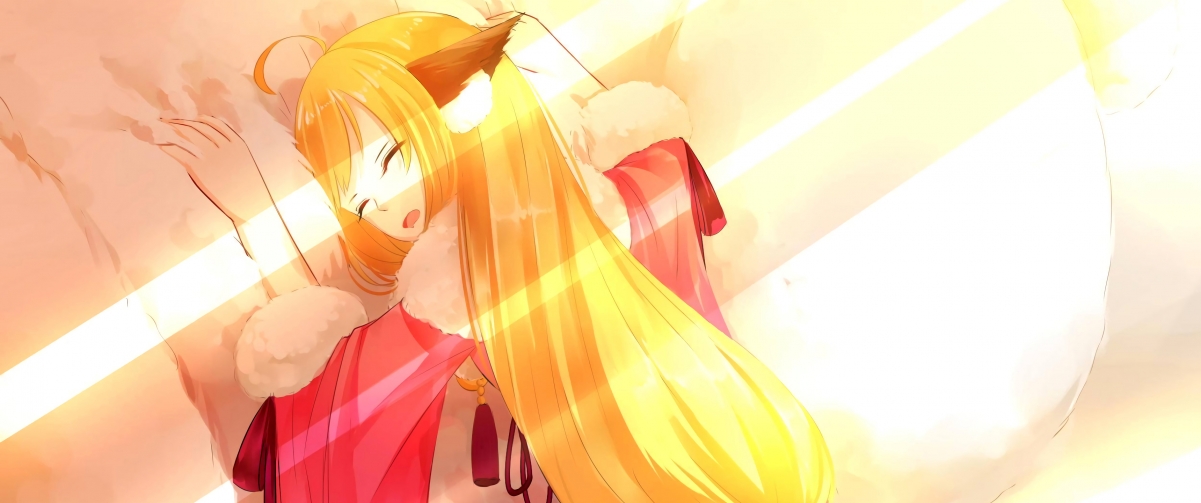 哥伦比亚马术协会与国际组织合作,推广“Sinjska Alka”至全球。,哥伦比亚马夹