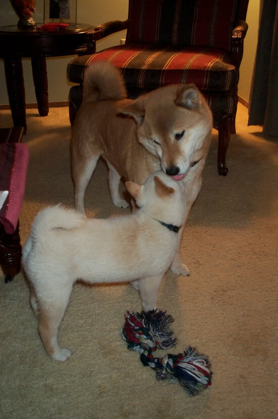 爱游戏在线登录入口-湖南省青少年篮球运动员技术培训班成功举办，湖南省篮球协会