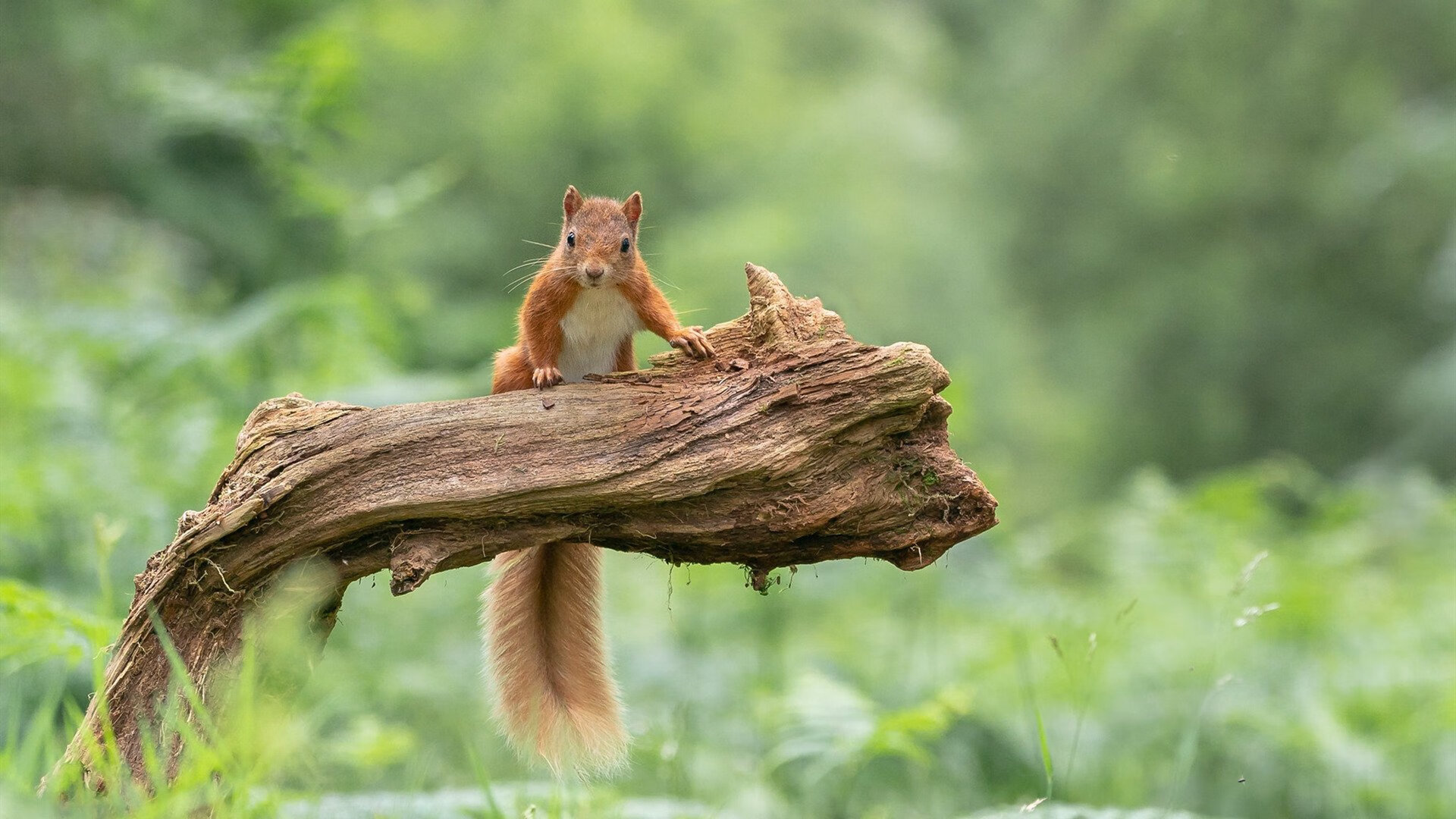 东南亚杯:小组赛战况激烈不容小觑,东南亚足球联赛