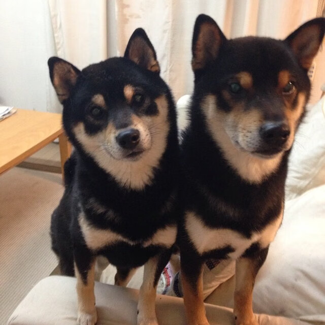 爱游戏综合娱乐-人全队士气高涨，准备下一场比赛迎战勇士，人全队士气高涨,准备下一场比赛迎战勇士的句子