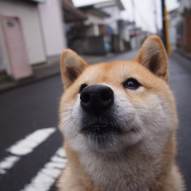巴拉多利德不敌巴列卡诺,遭遇失利,巴拉多利德老板