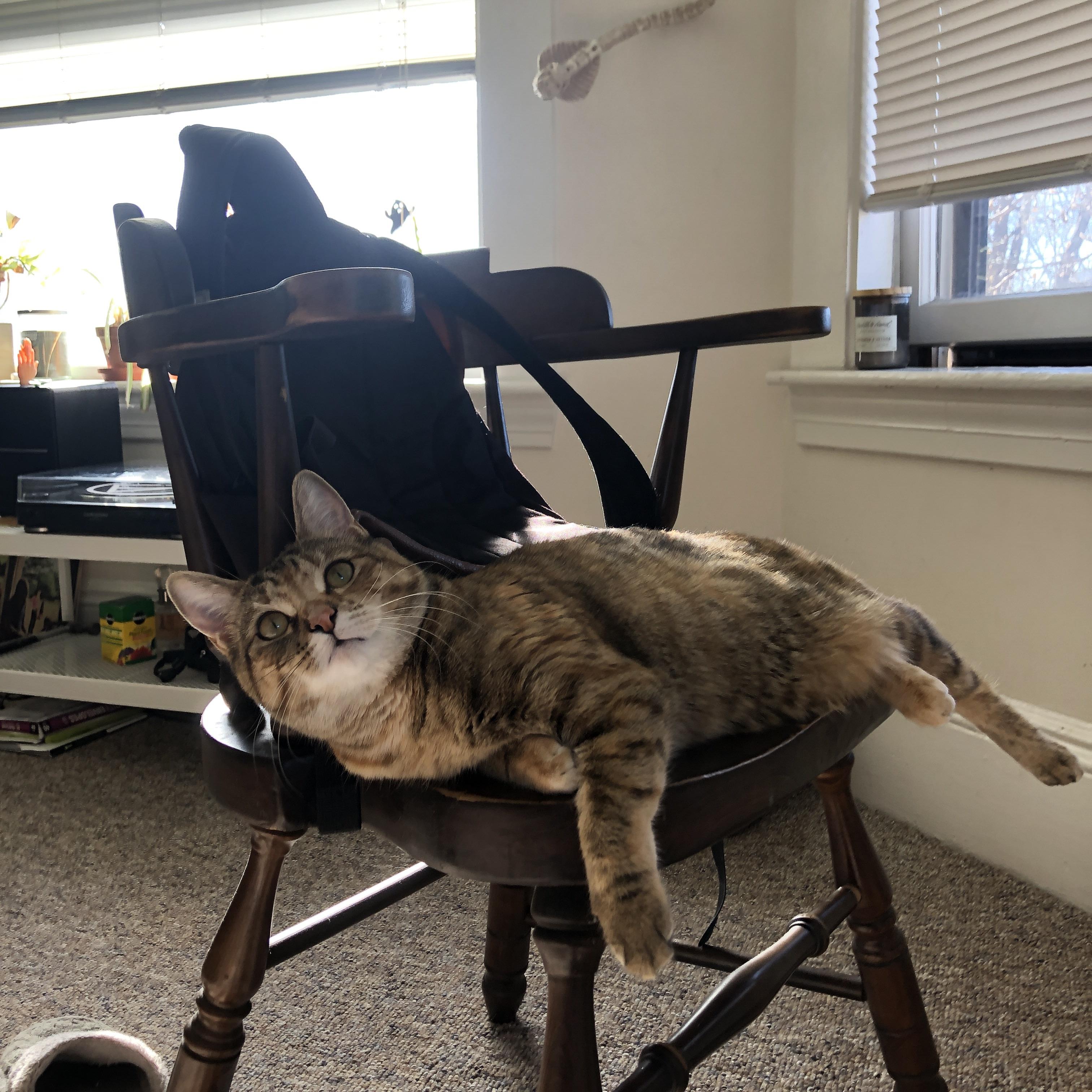 AYX体育官网-最热：拜仁慕尼黑横扫对手，欧冠四强！，拜仁慕尼黑上赛季欧冠排名