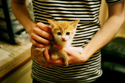 AYX SPORTS-激烈电竞总决赛宣传片全球同步上线，电竞激励