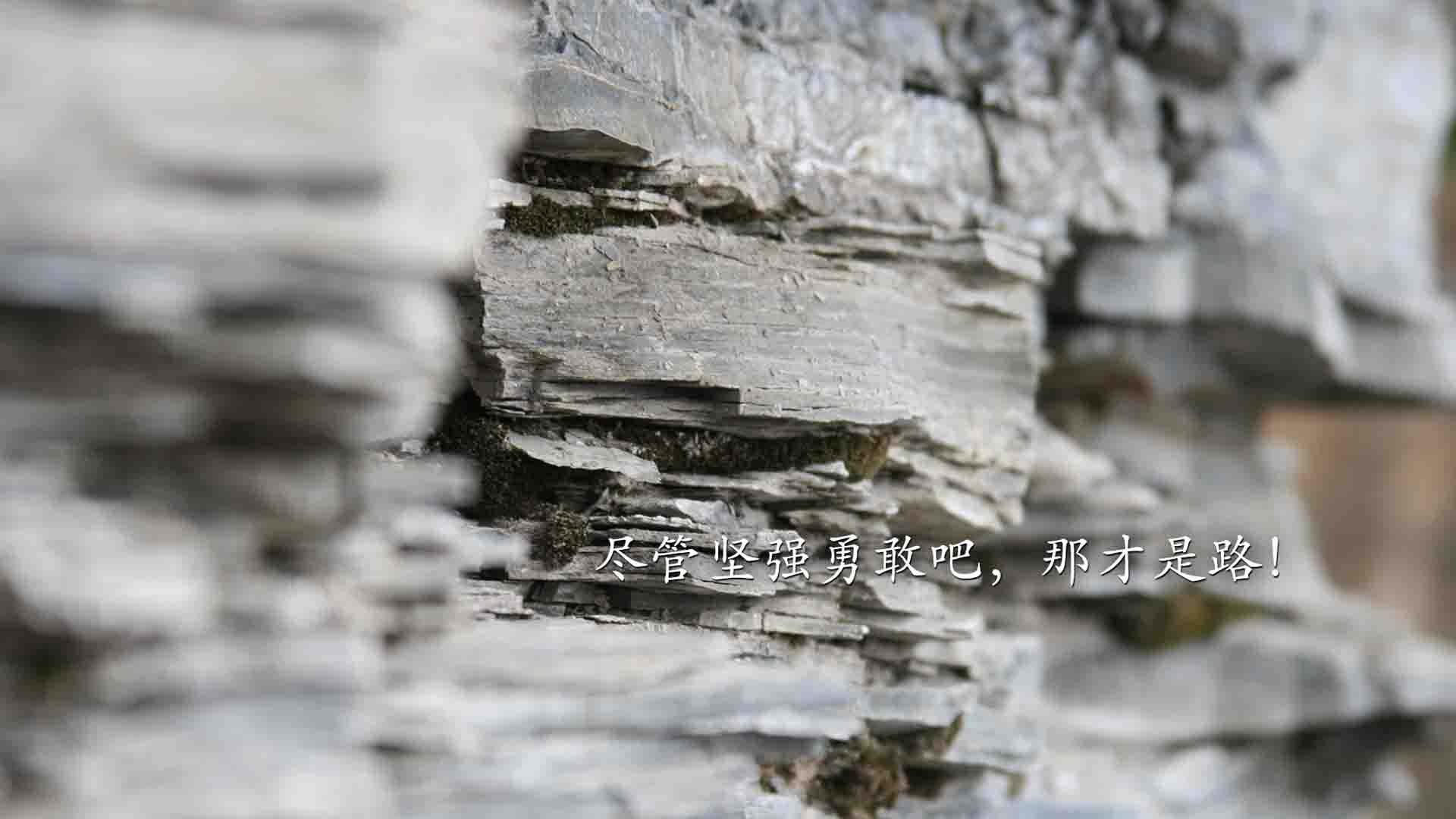 皇马主场连胜被终结,球迷高呼失误必须改进,皇马22连胜被谁终结