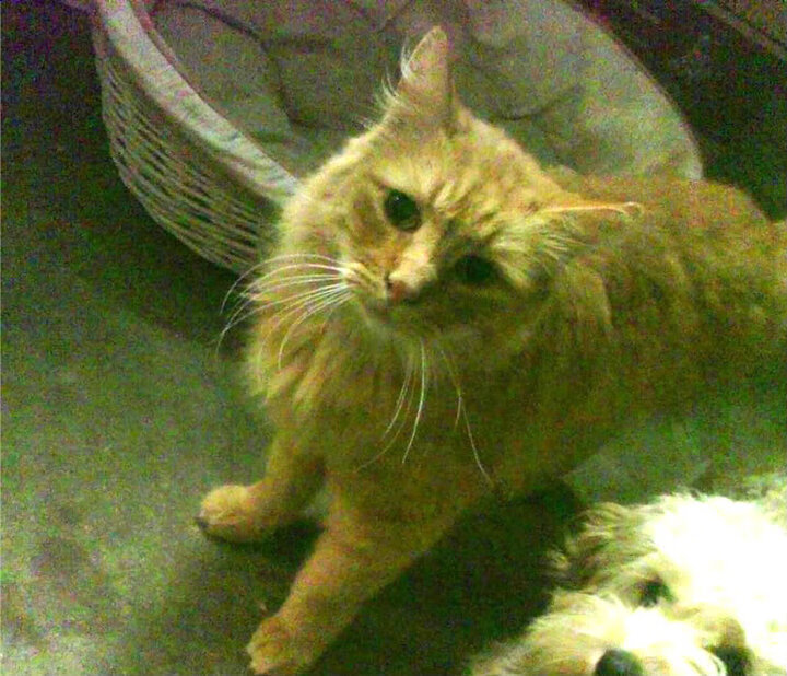 爱游戏体育官方网站-莱比锡引进强力前锋，莱比锡中锋