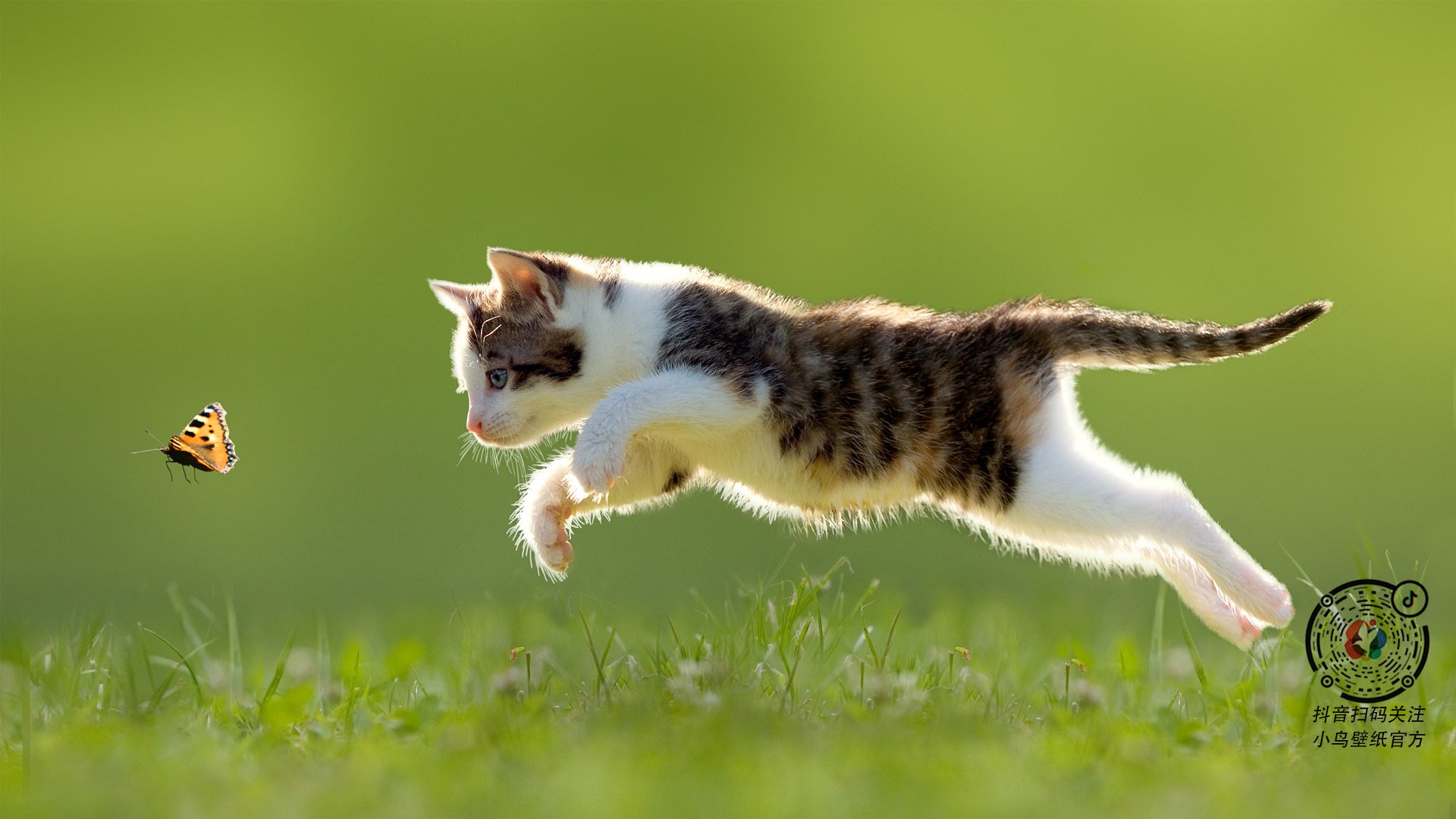 爱游戏娱乐-陕西西部队全力以赴，英勇奋战获得比赛胜利，陕西部队大学