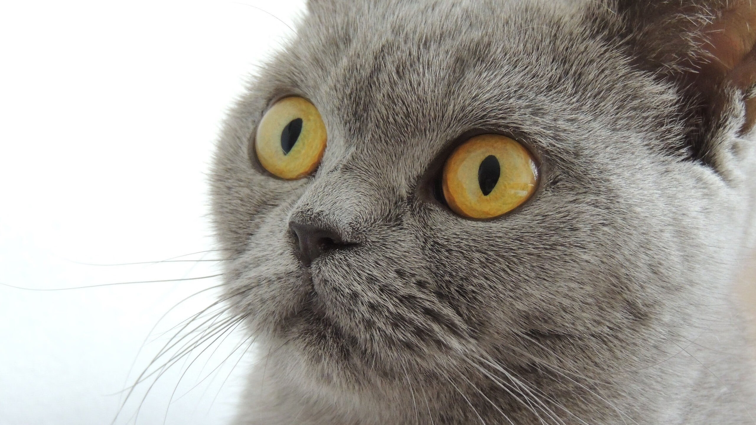 体育赛事多渠道传播方案设计，体育赛事的宣传方法