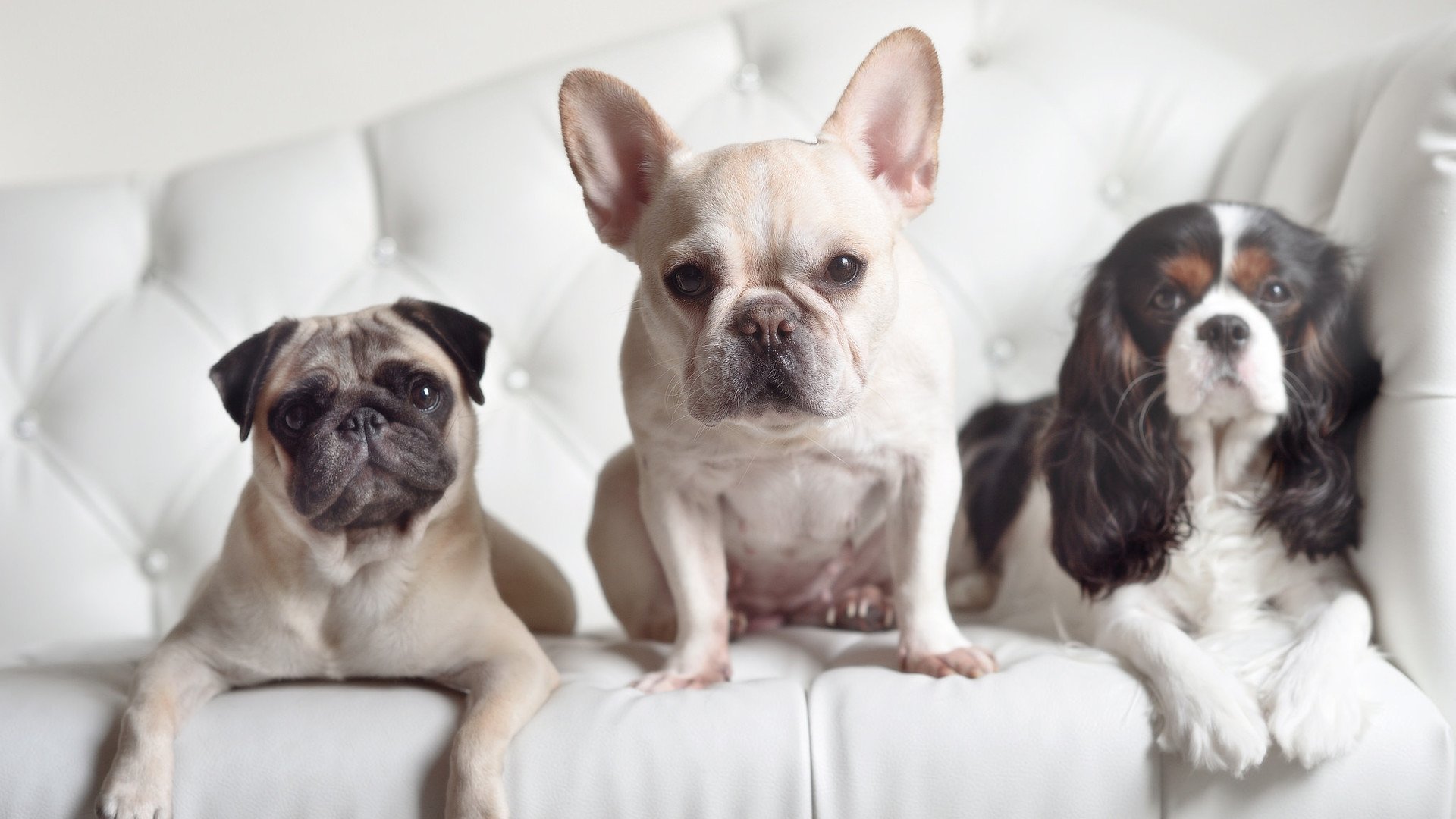 体测系统升级纳入动态健康跟踪机制,体测信息