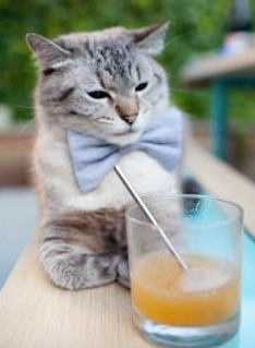 爱游戏官方-凯琳·科贝特技术细腻后程加速显神威，凯特琳max