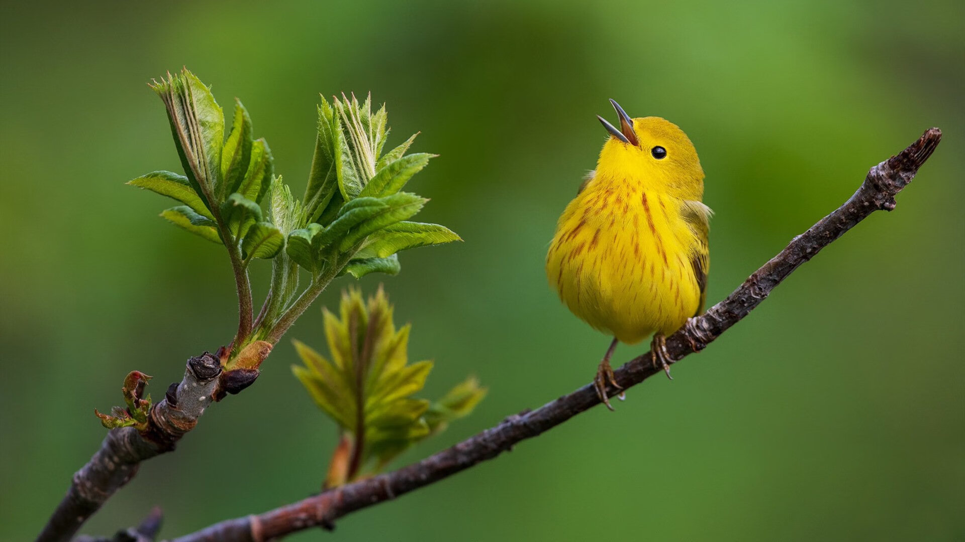爱游戏中国官方网站平台-德甲攻势凌厉：每一次射门都扣人心弦