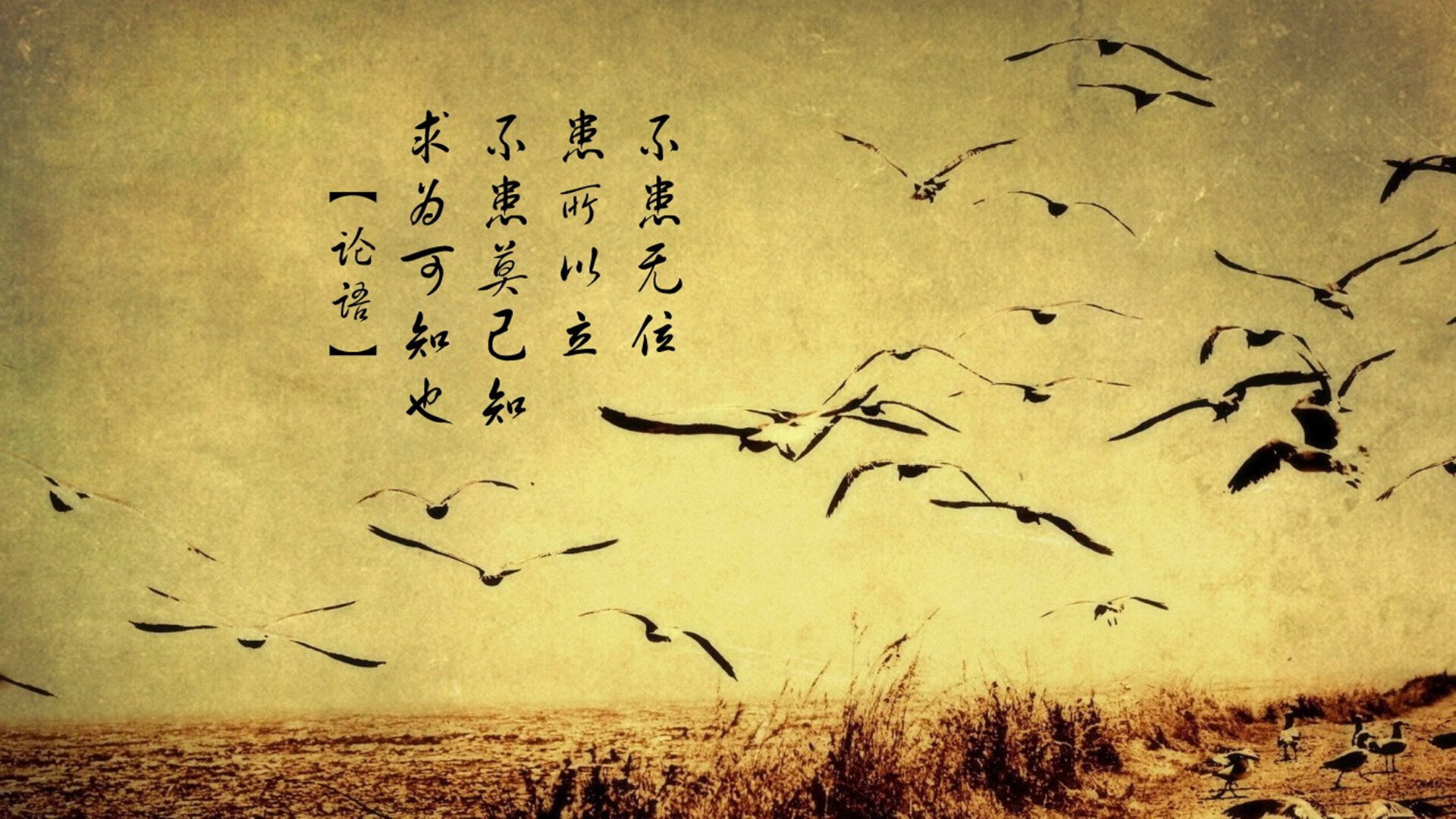 瑞安的球场视野和决策力,令全黑队攻防更具深度,瑞安十八家球场