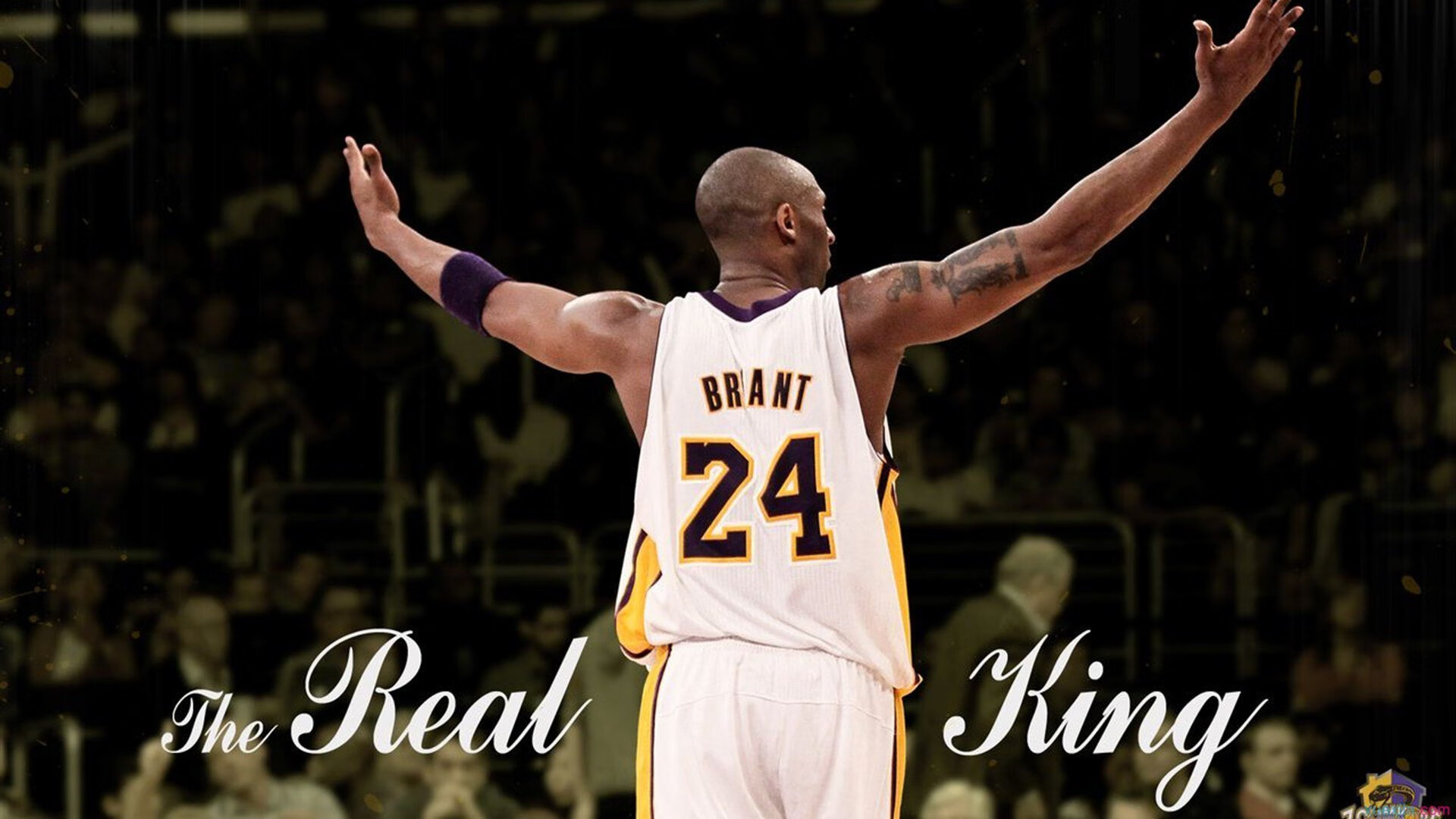 爱游戏体育-泰国马术协会举办马匹护理培训班，提高骑手护理技能。，泰国骑马是什么意思